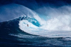 Was Unternehmer vom Surfen lernen können